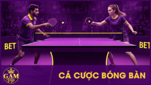 Cá Cược Bóng Bàn: Quy Trình Đặt Cược Và Mẹo Chơi