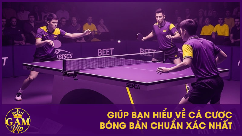 Cá Cược Bóng Bàn: Quy Trình Đặt Cược Và Mẹo Chơi 2 Giúp bạn hiểu về cá cược bóng bàn chuẩn xác nhất