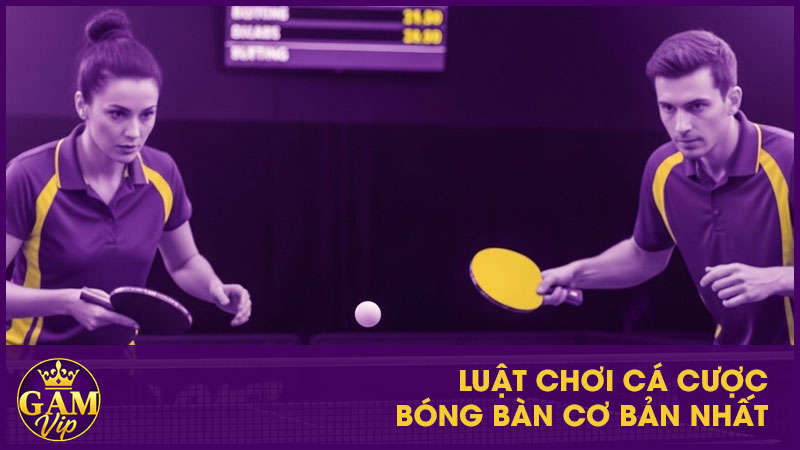 Cá Cược Bóng Bàn: Quy Trình Đặt Cược Và Mẹo Chơi 3 Luật chơi cá cược bóng bàn cơ bản nhất