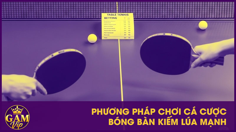 Cá Cược Bóng Bàn: Quy Trình Đặt Cược Và Mẹo Chơi 4 Phương pháp chơi cá cược bóng bàn kiếm lúa mạnh