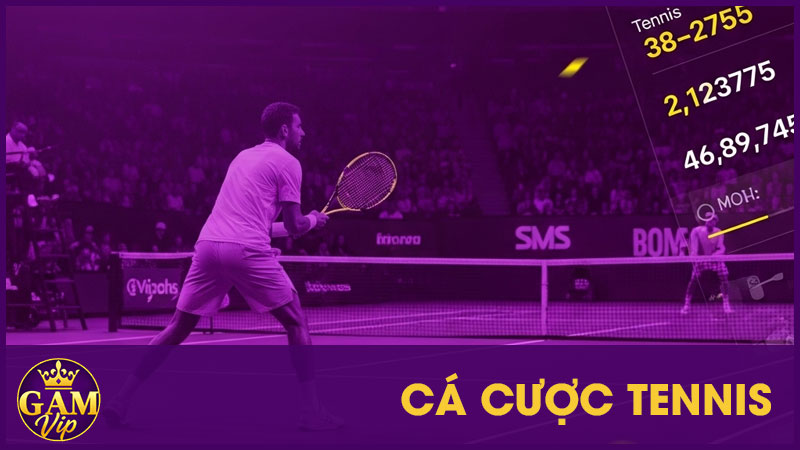 Cá Cược Tennis: Chơi Vui Thưởng Lớn Theo Từng Đường Bóng 1 Cá Cược Tennis: Chơi Vui Thưởng Lớn Theo Từng Đường Bóng