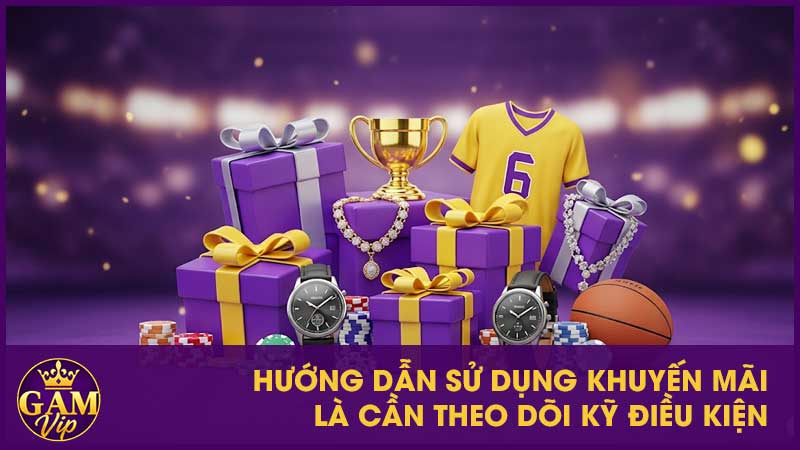 Hướng dẫn sử dụng khuyến mãi là cần theo dõi kỹ điều kiện
