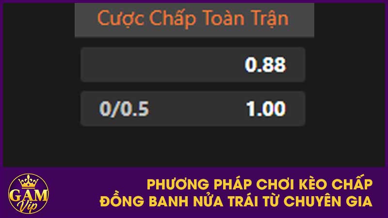 Kèo Chấp 0.25 (1/4 Trái) Là Gì? Cách Tính Thắng Thua & Mẹo Chơi Hiệu Quả 4 Phương pháp chơi kèo chấp đồng banh nửa trái từ chuyên gia