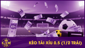 Kèo Tài Xỉu 0.5 (1/2 Trái) Là Gì? Chỉ 1 Bàn Thắng Là Đủ